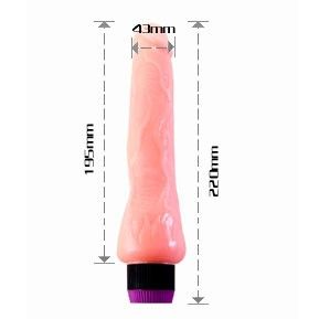 Realistic 19.5 cm vibrator by Baile, featuring a lifelike design and textured surface for enhanced stimulation.