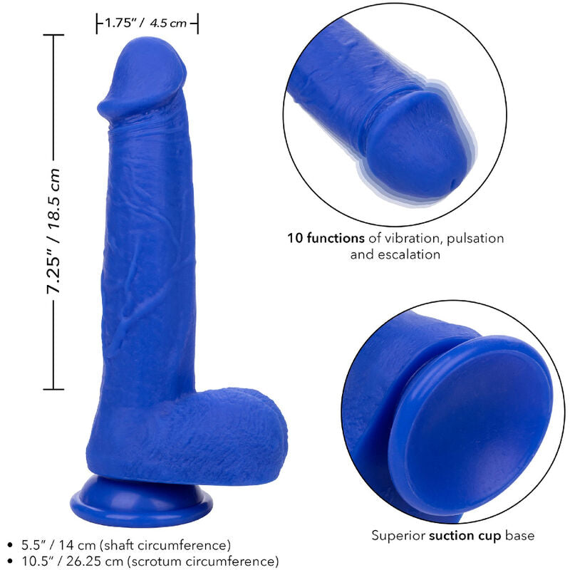 CALEXOTICS - ADMIRAL CAPTAIN DILDO REALÍSTIC VIBRADOR BLAU