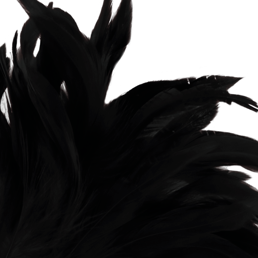Pluma estimuladora negra lux de DARKNESS SENSATIONS, suave y elegante para sensuales juegos sensoriales.