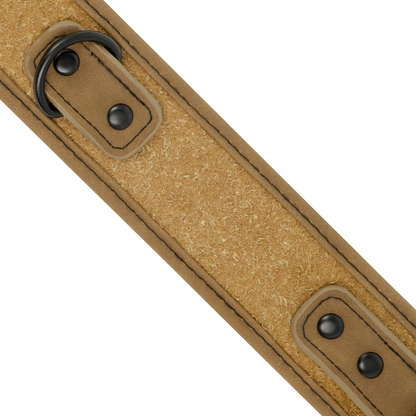 Collar con cadena y forro de neopreno de la marca FETISH SUBMISSIVE ORIGIN, ideal para juegos de dominación y sumisión.