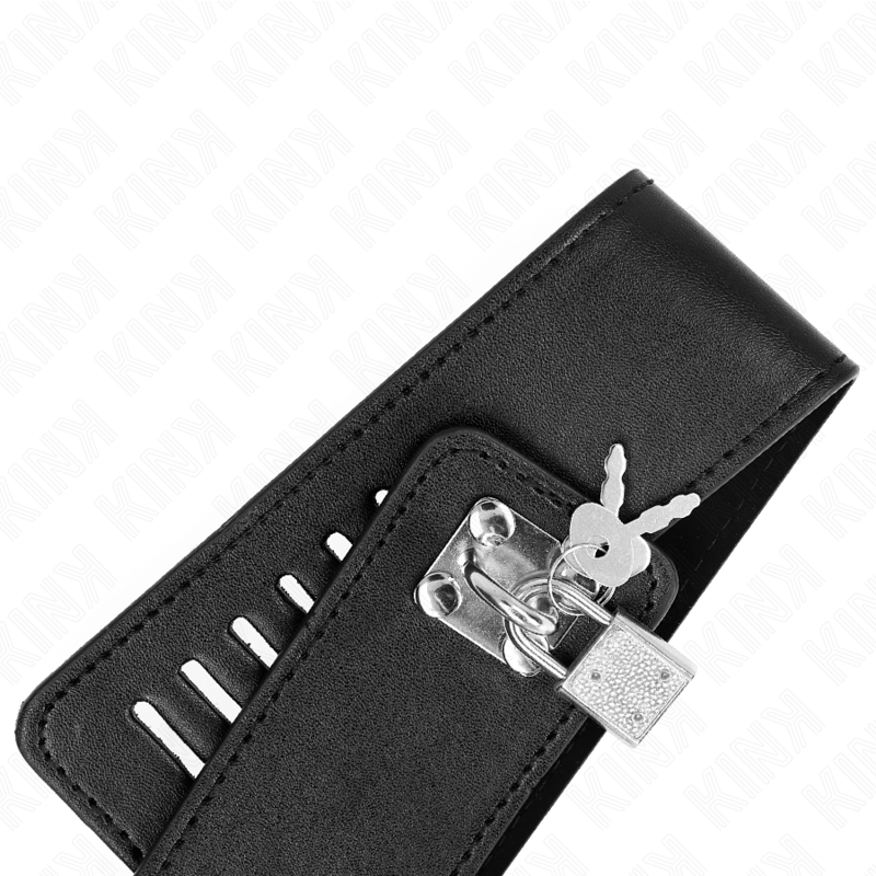 KINK - COLLAR WITH 116 CM LEASH MODEL 2 ADJUSTABLE 36-43 CM X 5 CM
