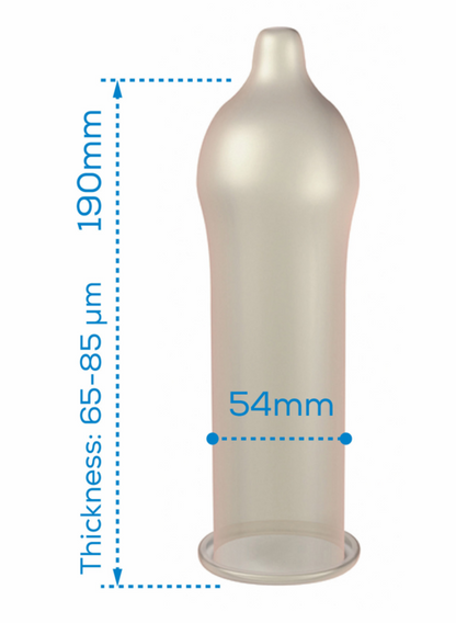 PASSENGER - REGULAR RANGE CONDOM 12 UNITS