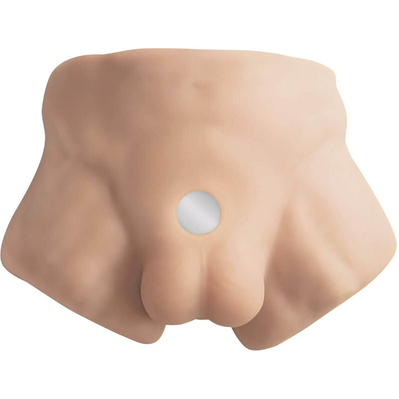 Torso bajo masculino realista de SILEXD Apollo S, figura de cuerpo humano con detalles anatómicos precisos.